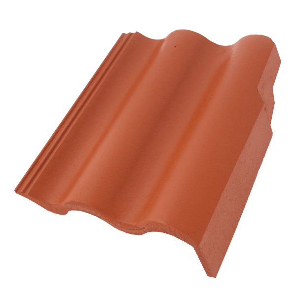 Synus Korall ivični