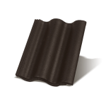 Synus Carbon osnovni