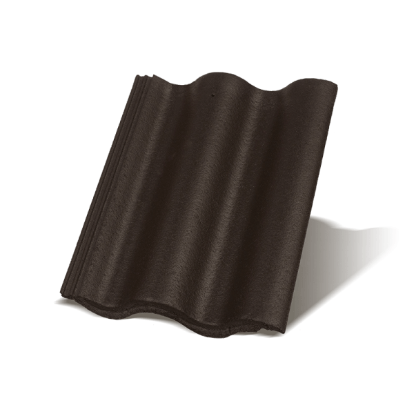 Synus Carbon osnovni