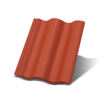 Synus Korall osnovni